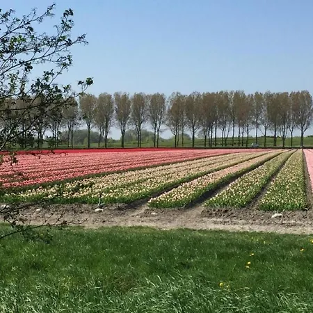 Rekerlanden 171 *